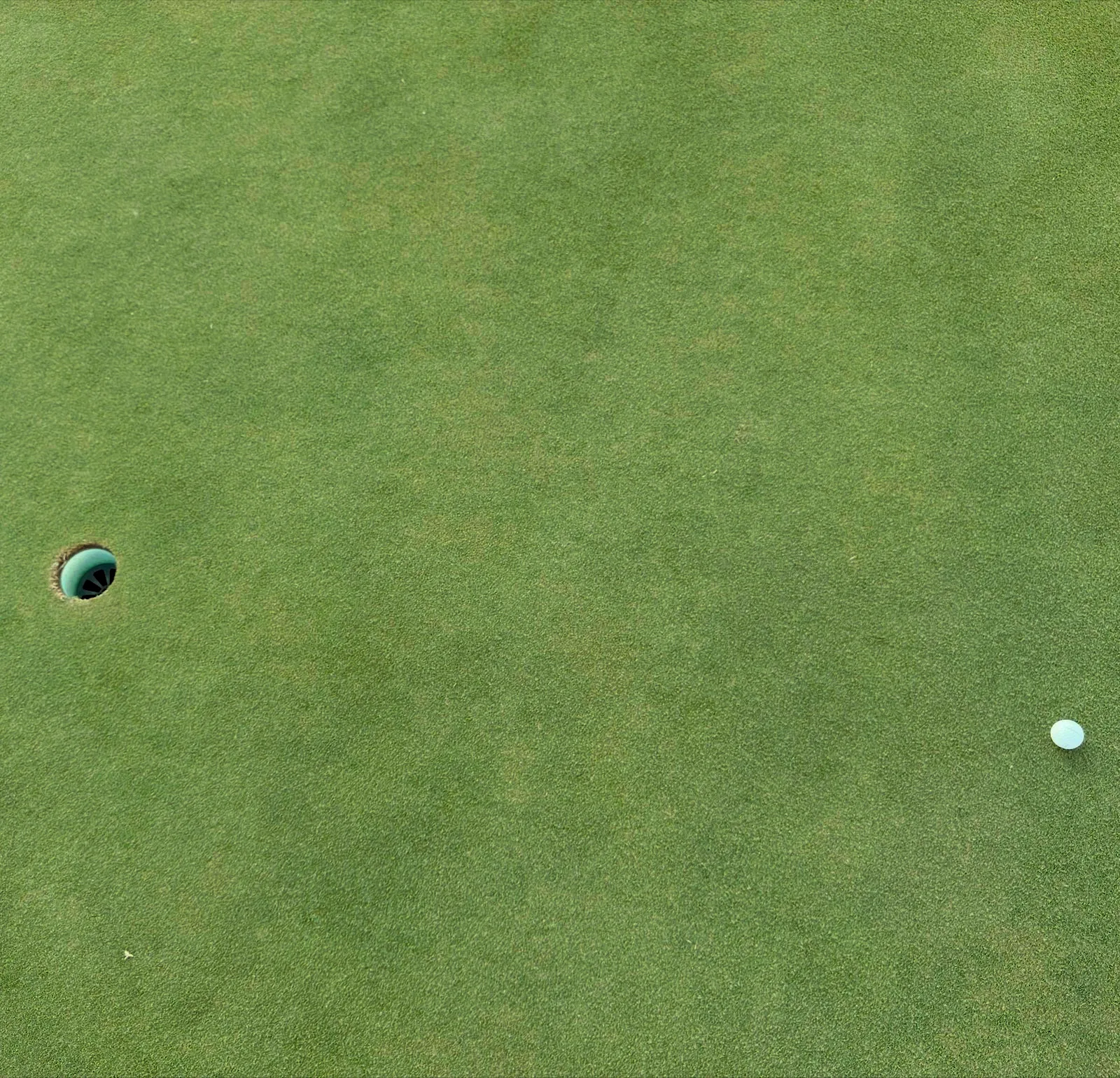 A long putt: ball resting far from the hole on a putting green