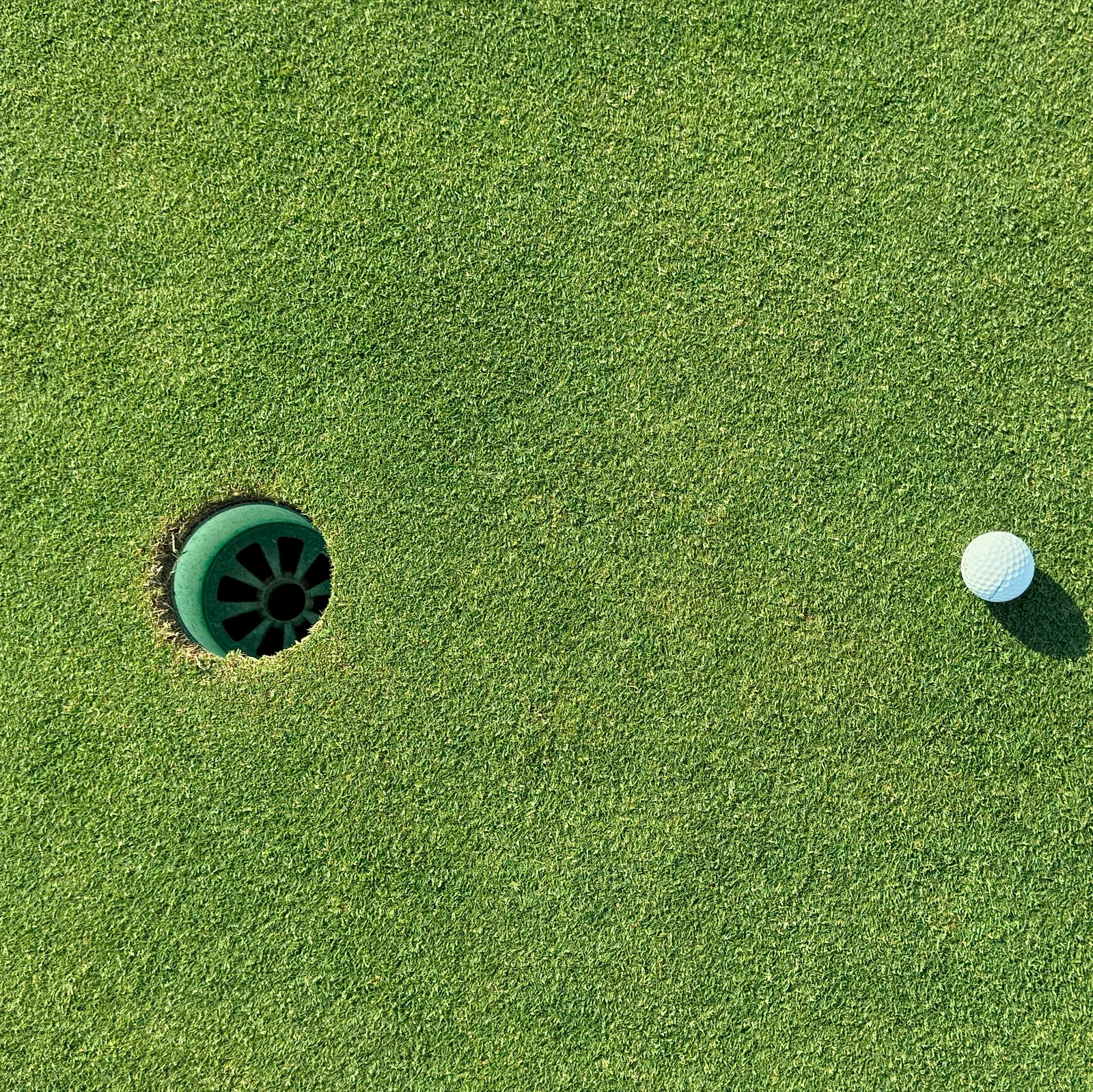 Hole and golf ball on a sunlit green, a short distance apart